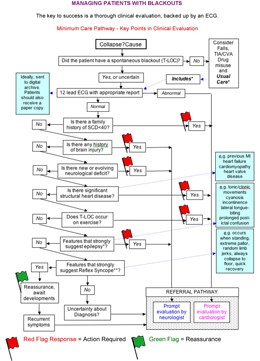 Download the Minimum Care Pathway diagram
